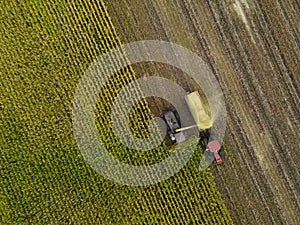 Harvester agriculture Combine machine harvesting golden ripe corn field. Agriculture background. From above. Aerial view