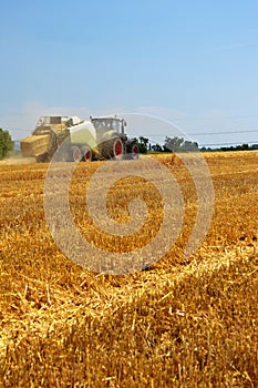 Harvester agriculture machine harvesting golden ripe corn field. Tractor - hay and straw, traditional summer background with an i