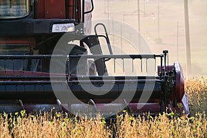 Harvester combine autumn graine wheat farmer worker plantation technology green field