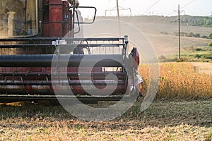 Harvester combine autumn graine wheat farmer worker plantation technology green field