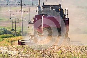 Harvester combine autumn graine wheat farmer worker plantation technology green field