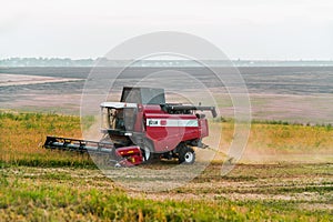 Harvester combine autumn graine wheat farmer worker plantation technology green field