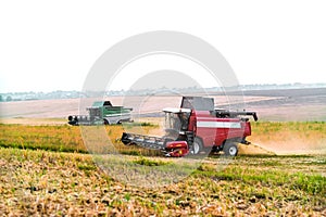 Harvester combine autumn graine wheat farmer worker plantation technology green field