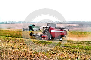 Harvester combine autumn graine wheat farmer worker plantation technology green field