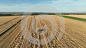 Harvester combine drone aerial view during harvesting harvest tractor of cereals wheat cuts crop Triticum aestivum field