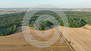 Harvester combine harvest drone aerial view during harvesting harvest tractor of cereals wheat cuts crop Triticum