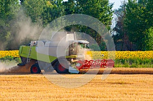 Harvester combine harvesting wheat