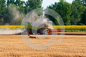 Harvester combine harvesting wheat