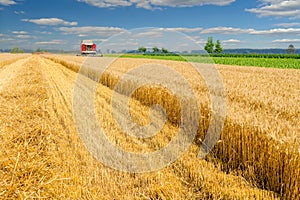 Harvester combine harvesting wheat on agricultural summer field