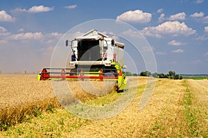 Harvester combine harvesting wheat on sunny summer day