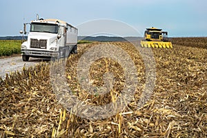 Harvester combine and semitruck in corn field during harvest