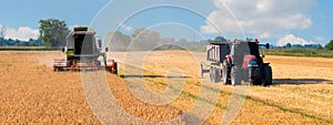 Harvester combine and tractor harvesting wheat on sunny summer d