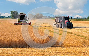 Harvester combine and tractor harvesting wheat on sunny summer day