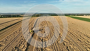 Harvester combine wheat drone aerial view during harvesting harvest tractor of cereals cuts crop Triticum aestivum field