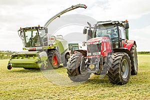 Harvester cutting field, loading Silage into a Tractor Trailer