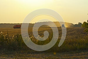 Harvester in the field gather the harvest