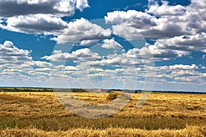 Harvester in the field, the stubble