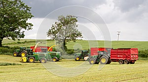 Harvester forager cutting field, loading Silage into Tractor Trailer