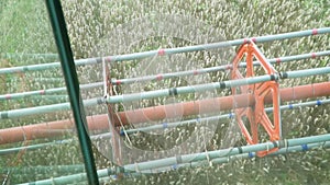 Harvester gathering crop of ripe wheat in field. Working process on farm. View from combine cabin riding through grain