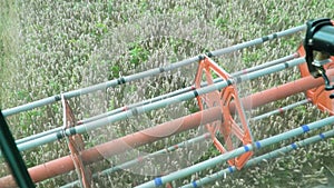 Harvester gathering crop of ripe wheat in field. Working process on farm. View from combine cabin riding through grain