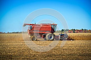Harvester harvesting corn in a field in the fall in Quebec