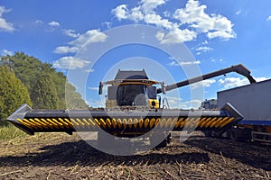 Harvester for harvesting sunflower crop