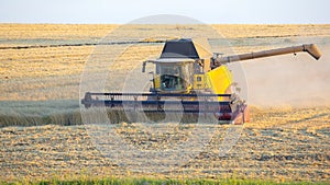 Harvester is harvesting wheat in the field. grain preparation. agronomy and agriculture