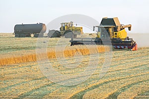 The harvester is harvesting wheat in the field. grain preparation. agronomy and agriculture