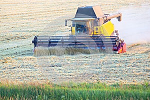 The harvester is harvesting wheat in the field. grain preparation. agronomy and agriculture