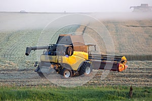 The harvester is harvesting wheat in the field. grain preparation. agronomy and agriculture