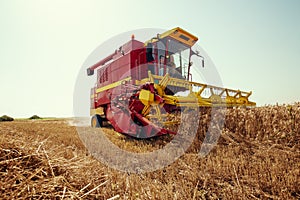 Harvester harvests wheat on field