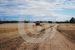 Harvester harvests wheat at summer