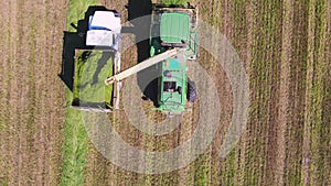 Harvester loads chopped grass into the back of a truck, aerial view.