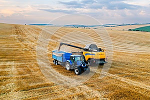 Harvester machine skillfully depositing wheat grains into a tractor trailer