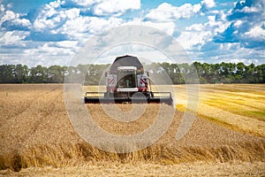 Harvester machine to harvest wheat field working