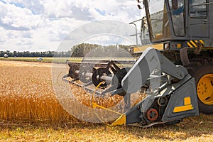 Harvester machine to harvest wheat field working