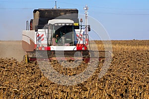 Harvester machine to harvest wheat field working