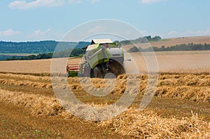 Harvester machine to harvest wheat field working. Agriculture