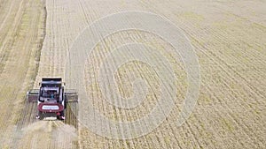 Harvester machine to harvest wheat field working. Combine harvester agriculture machine harvesting golden ripe wheat