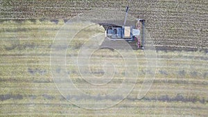 Harvester machine to harvest wheat field working. Combine harvester agriculture machine harvesting golden ripe wheat