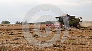 Harvester machine to harvest wheat field working. Combine harvester agriculture machine harvesting golden ripe wheat