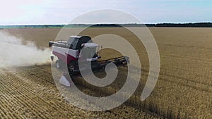 Harvester machine to harvest wheat field working. Combine harvester agriculture machine harvesting golden ripe wheat