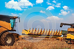Harvester machine to harvest wheat field working. Combine harvester agriculture machine harvesting golden ripe wheat field.