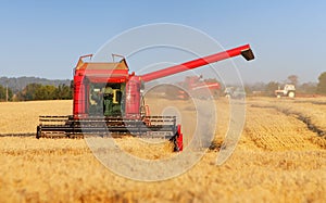 Harvester machine on wheat field