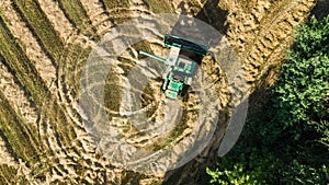 Harvester machine working in field aerial view from above, combine harvester agriculture machine harvesting ripe wheat field