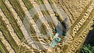 Harvester machine working in field aerial view from above, combine harvester agriculture machine harvesting wheat field