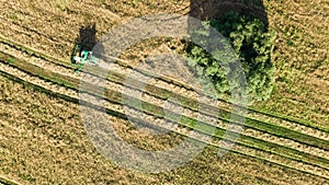 Harvester machine working in field aerial view from above, combine harvester agriculture machine harvesting wheat field