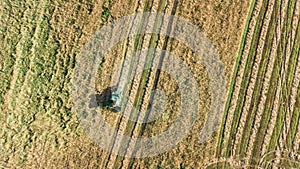 Harvester machine working in field aerial view from above, combine harvester agriculture machine harvesting wheat field