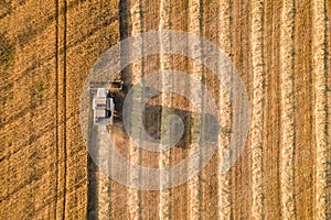 Harvester machine working in wheat field