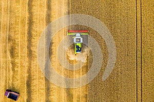 Harvester machine in yellow grain field, aerial top view from drone. Agricultural combine machine harvesting ripe field